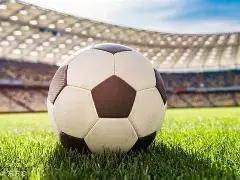 武磊替补亮,相未得分,西班牙人主,开云体育,开云体育官网,开云体育app,开云体育平台,KAIYUN,SPORTS,kaiyun登录入口