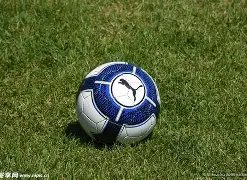 开云体育官,网登录,资讯,开云体育,开云体育官网,开云体育app,开云体育平台,KAIYUN,SPORTS,kaiyun登录入口