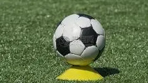 开云体育官网登录 资讯 132849 4zx